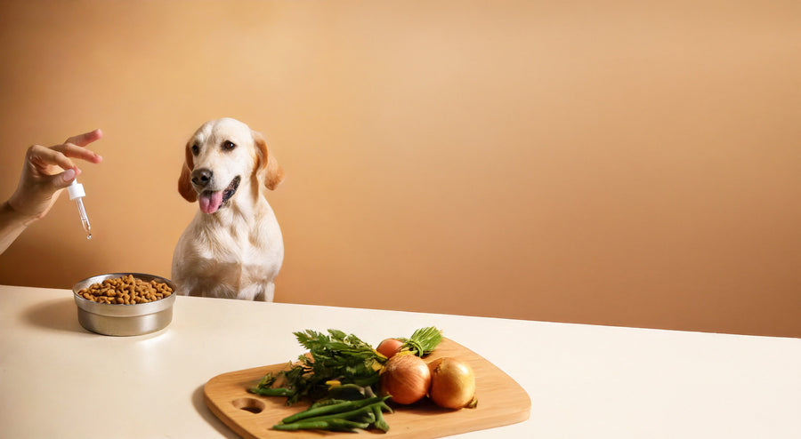 Thoughtful Wellness for Dogs