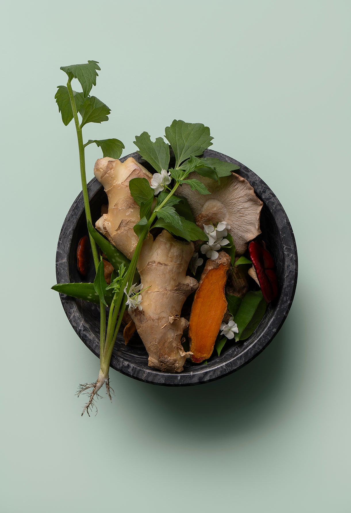 Herbs and roots in a dark bowl on a light green background