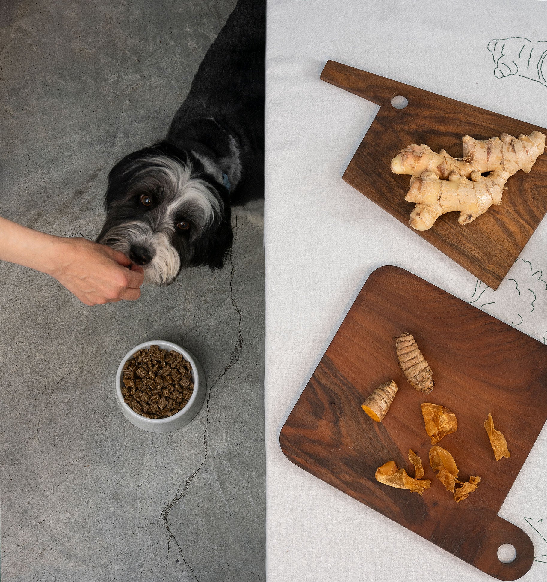 Dog being fed from a bowl, with a wooden cutting board showing dried ginger pieces.