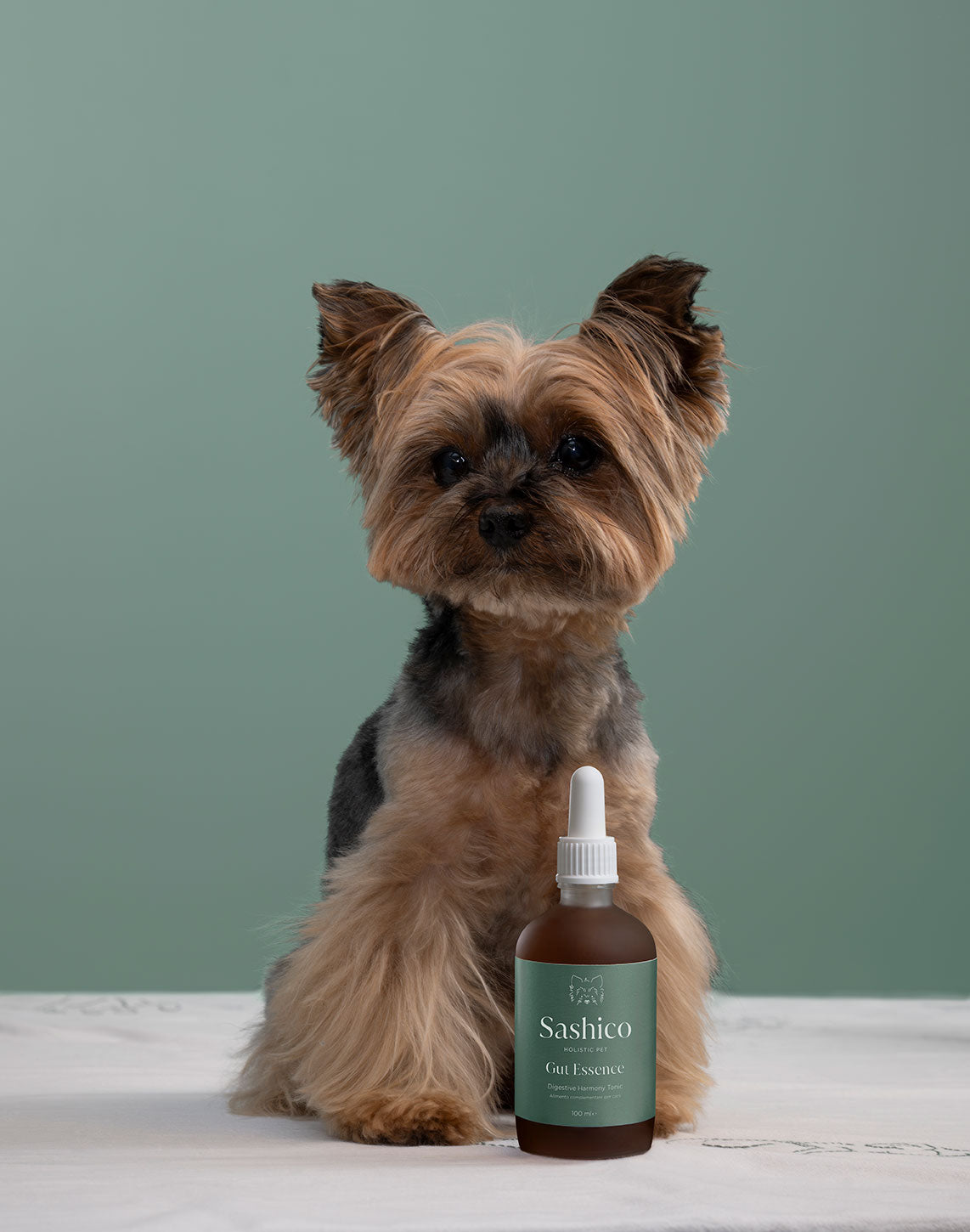 Small dog sitting next to a bottle of Sashico product on a light surface with a green background